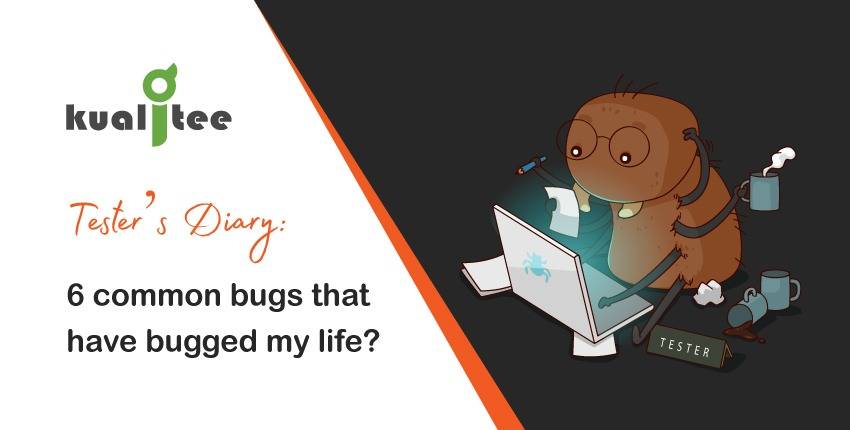 Tester's Diary 6 common bugs